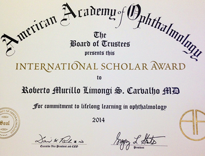 instituto-de-olhos-blog_international-scholar-award