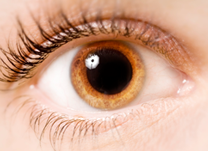 IOL - Blog - Por que no exame ocular a criança tem que dilatar a pupila (thumb)