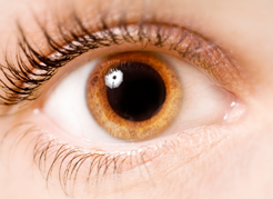 IOL - Blog - Por que no exame ocular a criança tem que dilatar a pupila