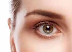 Instituto-de-Olhos-Limongi---Blog---21-curiosidades-IMPRESSIONANTES-sobre-os-OLHOS