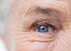 Hospital-de-Olhos-Limongi---Blog---Cuidados-com-a-saúde-ocular-na-terceira-idade
