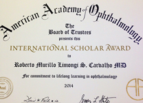 instituto-de-olhos_international-scholar-award
