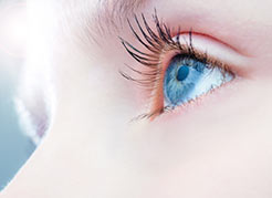 hospital-de-olhos-limongi-blog-glaucoma-tratamento