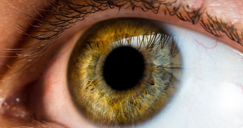 Hospital de olhos limongi - blog - Dia da Saúde Ocular